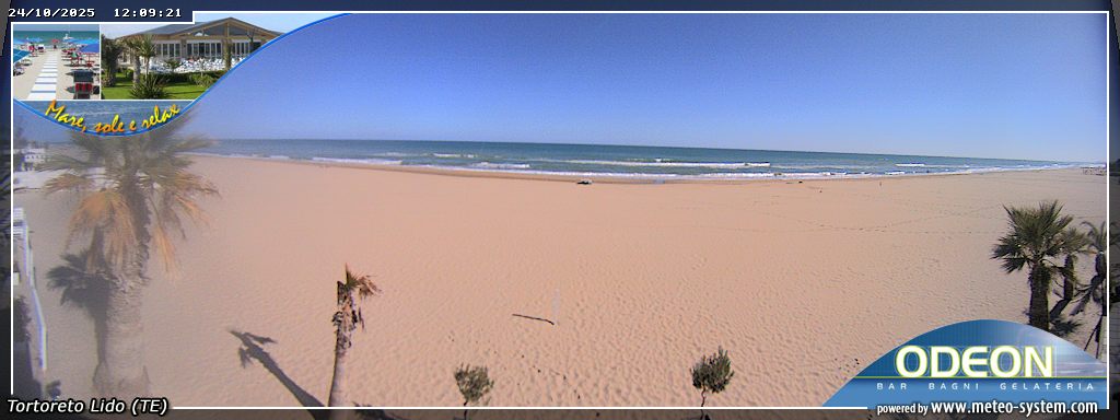 Camera Live Image